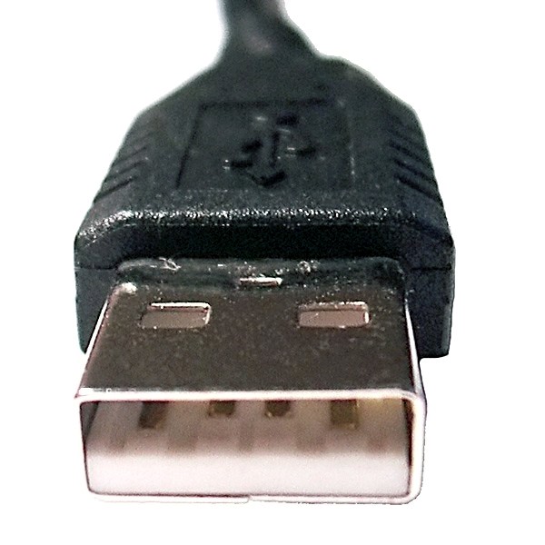 File:USB Male Plug Type A.jpg