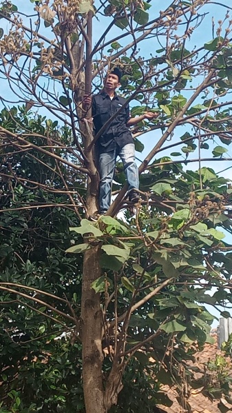 File:E Sq6OsVEAIF4rb.jpeg