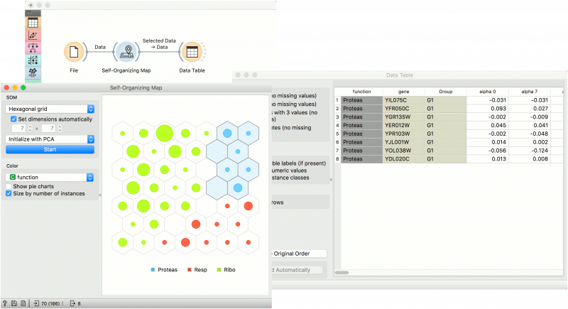 File:Self-Organizing Map Example.png